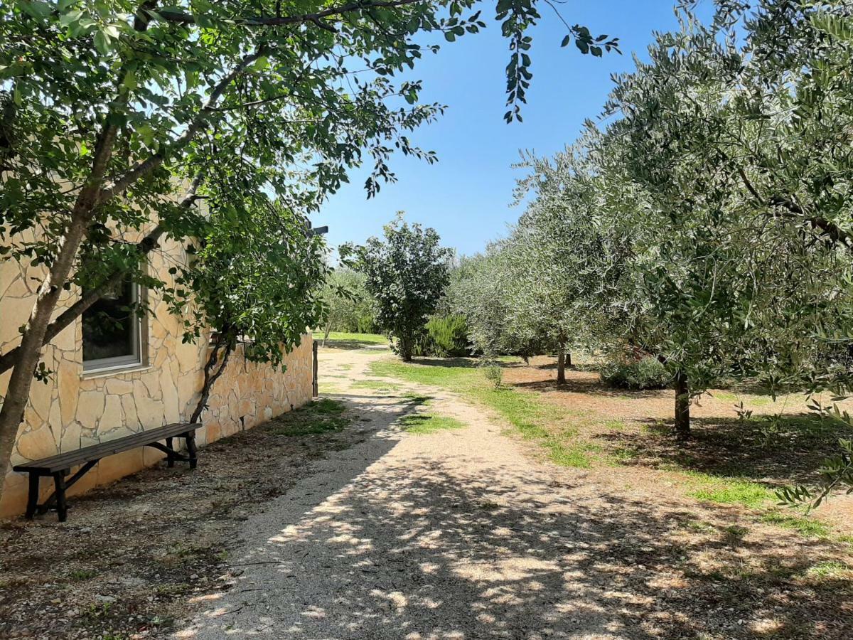Holiday House Pulina Пунат Екстериор снимка